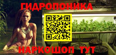 стаф Пушкино