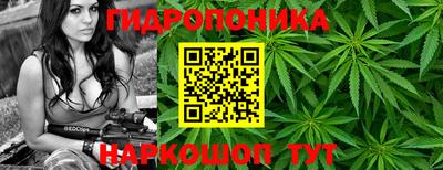 стаф Пушкино