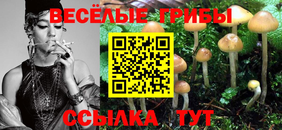 Бердск  Псилоцибиновые грибы мухоморы  Вход с VPN 